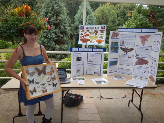 Nancy is displaying the kinds of moths that can be found in the United States to help get people excited about a moth photography citizen science project through discover life. 