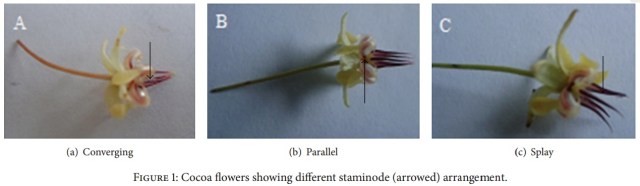 (Frimpong-Anin et al. 2014)