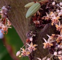 By Tatters (CC BY 2.0)