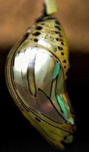 What's going on in here?  