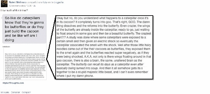 Well, there's quite a lot to cover here! So lets get to it!