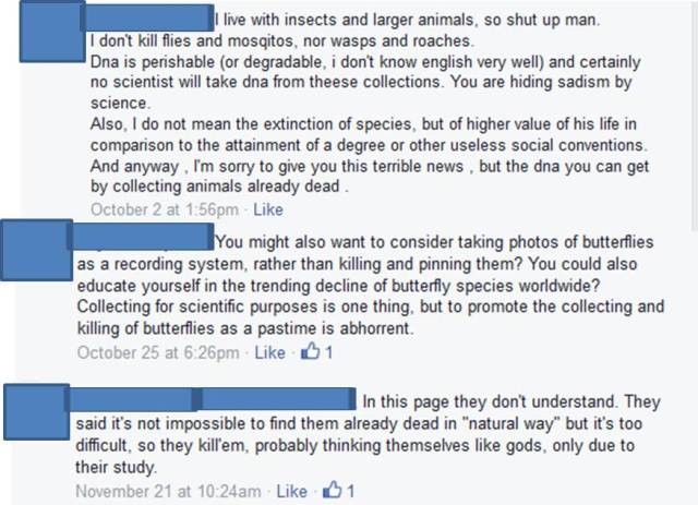 Human Killing Insect Why do entomologists kill insects? A non-taxonomist’s perspective ...