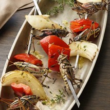Wanna try some grub? Or Grasshopper? Check out The Bug Chef or recipes. 