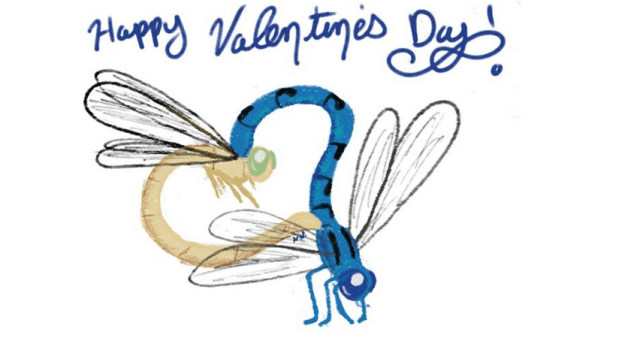 Mating Wheel PC: Nancy Miorelli