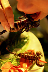 PC:  Lara Jo Regan/Getty Images