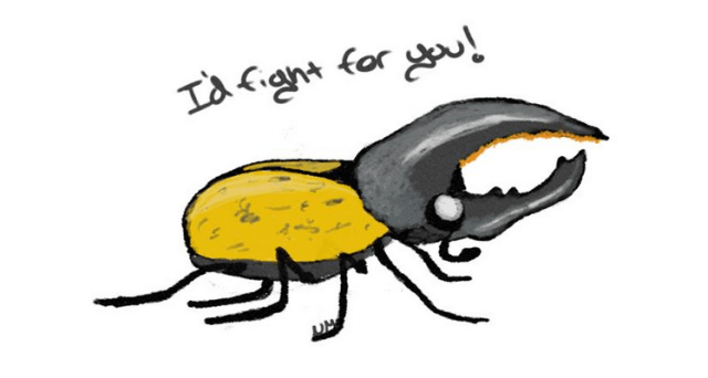 Hercules Beetle (Dynastes hercules) PC: Nancy Miorelli