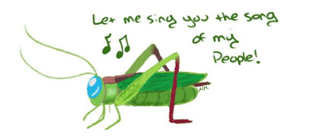 Handsome Meadow Katydid  PC: Nancy Miorelli