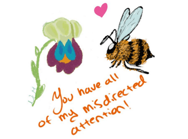 Orchid and the associated Orchid Bee PC: Nancy Miorelli