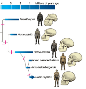Modified from Berkeley