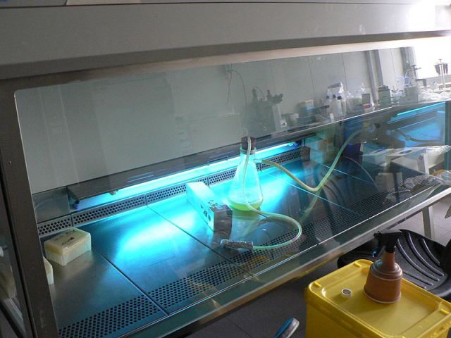 UV sterilization in a lab. PC: Uploaded by Newbie. Public Domain