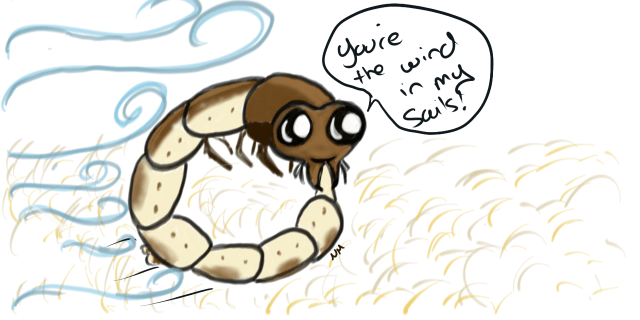 They roll along the beach PC: Nancy Miorelli