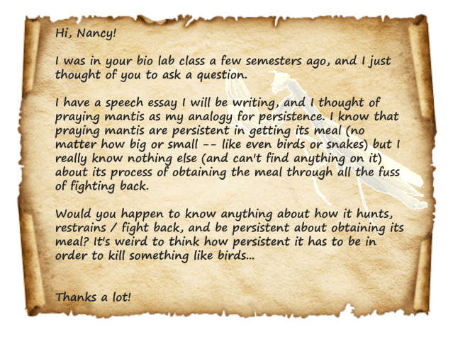 What I imagine e-mails to look like. 