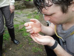 Joe contemplates a Nematomorph he captured during a trip to Ecuador. The animal was released unharmed back into a nearby stream.
