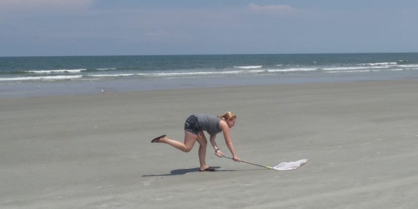 My friend Liz studies the Southern Beach Tiger Beetle and is collecting samples. 