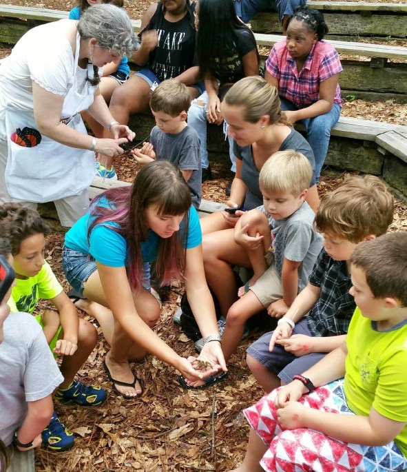 Some people just like to watch the world learn. PC: Matt Zawodniak 