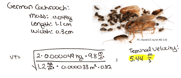 Terminal Velocity is 5.54 m/s (12.07 mph)