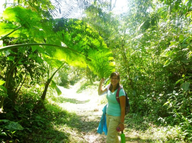 We don't make leaves like this here