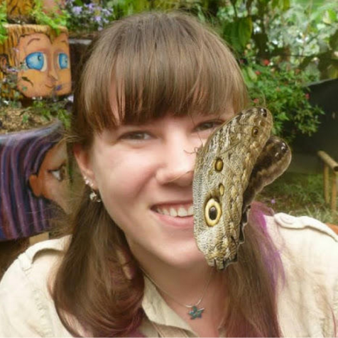 The Owl Butterfly is frequently found in Maqui. This one, is from a the Mariposario in Mindo.