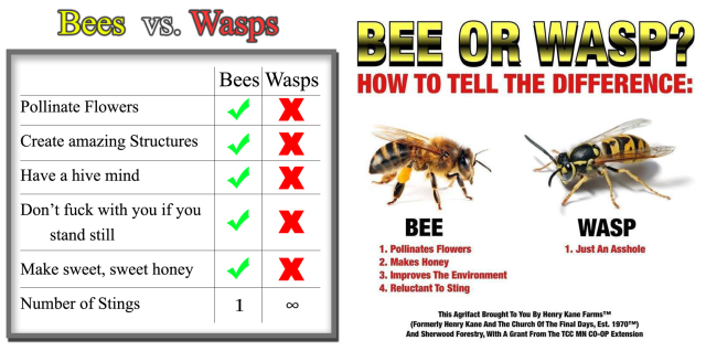 Typical examples of 'wasps are jerks memes'. The picture on the left was originally posted here in 2011, while the picture on the right is a product of Henry Kane farms, a humor site.