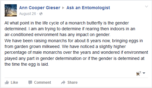 Monarch sex det