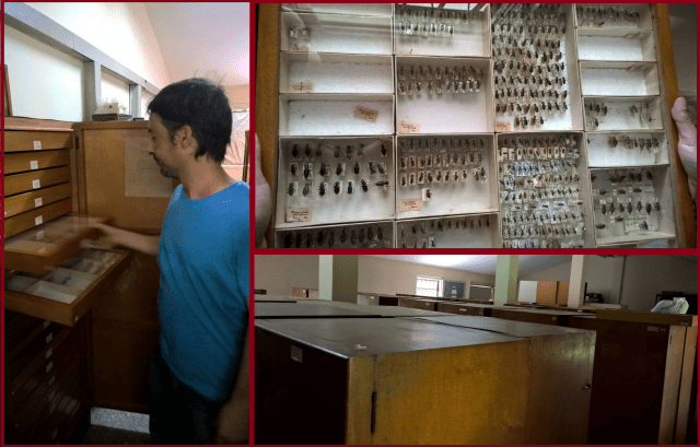 These pictures are from my trip to Cuba. While these pictures were taken in 2015, they're still stuck using storing technology from effectivley they early 1900's. This means a lot of specimens are damaged and lost and the system just isn't very efficient.