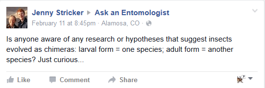 Hybridization question