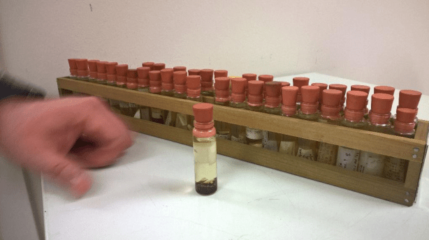 These bottles go into a specific room that's humidity and temperature controlled to maintain the integrity of the specimens.