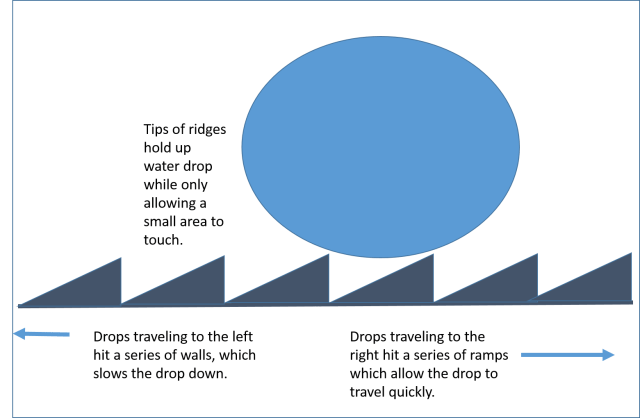 Morpho diagram simplified
