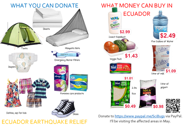 Here's a quick and dirty list of things that you could help donate or help us buy. 