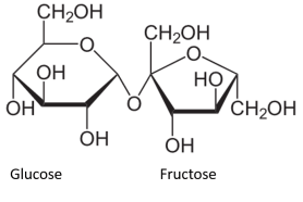 Sucrose