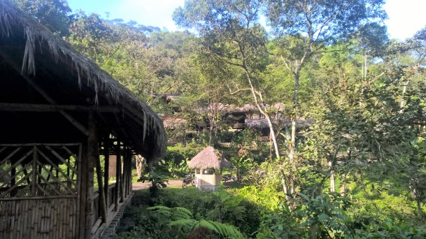 I live here, Internet is a thing that's hard to come by. 