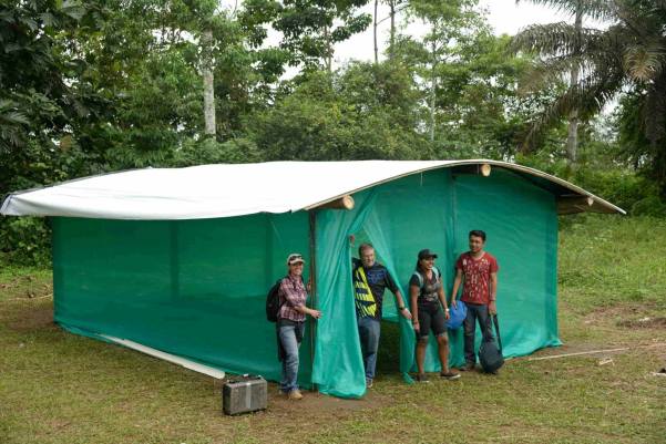 Starting May 16, we're going to start building as many of these that we have the money for!