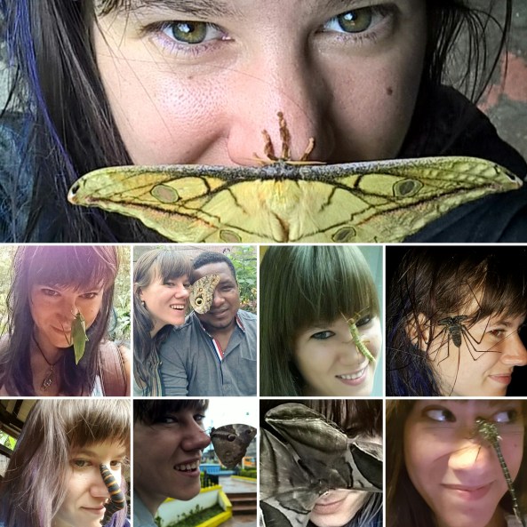 See. I like bugs. I'll put them on my face. I'll be using bugs from the UGA insect zoo. To see some of the candidates, look here!