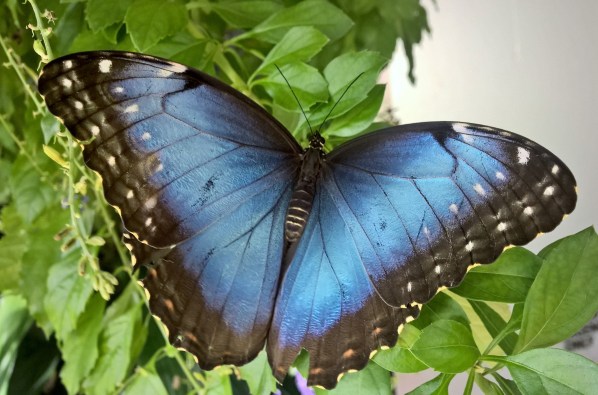 WP_20150807_11_10_25_Pro