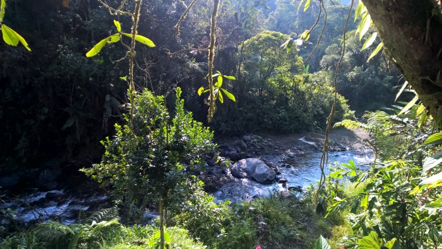 If you come help, you can live here! Not a bad tradoff I'd say.