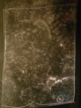 simulated-specimen-sign