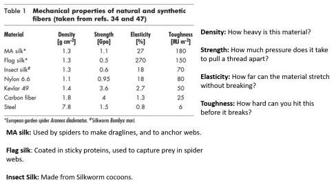 spider-silk-strength