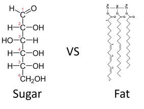 Sugar vs fat