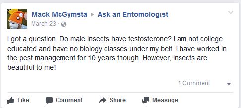 Testosterone
