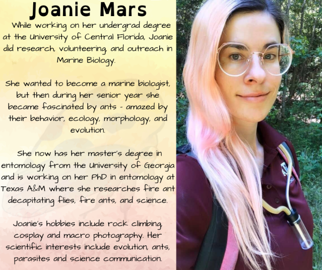  A pink haired woman with an aspirator - or a bug collecting suction apparatus - hung around her neck Joanie Mars: While working on her undergrad degree at the University of Central Florida, Joanie did research, volunteering, and outreach in Marine Biology.   She wanted to become a marine biologist, but then during her senior year she became fascinated by ants – amazed by their behavior, ecology, morphology, and evolution.   She now has her master’s degree in entomology from the University of Georgia and is working on her PhD in entomology at Texas A&M where she researches fire ant decapitating flies, fire ants, and science.  Joanie's hobbies include rock climbing, cosplay and macro photography. Her scientific interests include evolution, ants, parasites and science communication.